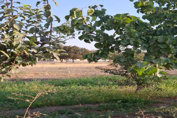 املاک پیمان_خرید و فروش