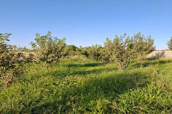 املاک پیمان_خرید و فروش