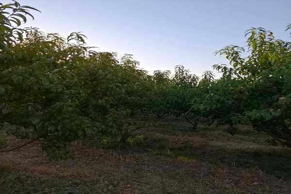مشاور املاک پیمان شهر جدید هشتگرد املاک پیمان_خرید و فروش