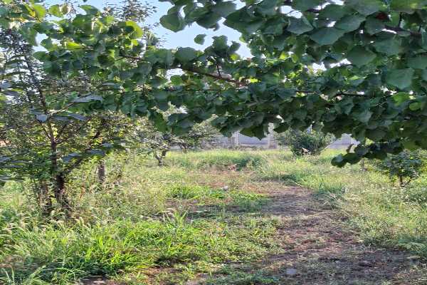 مشاور املاک پیمان شهر جدید هشتگرد املاک پیمان_خرید و فروش